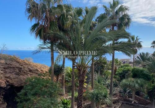 Properties for Rent in Tenerife