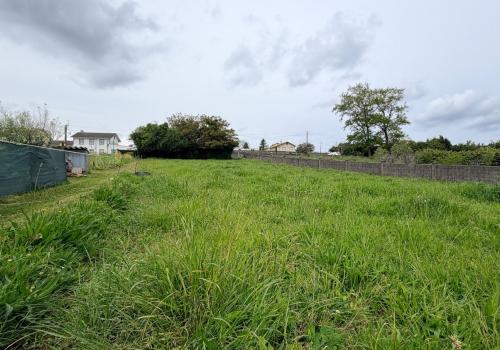 Plots in La Coruña