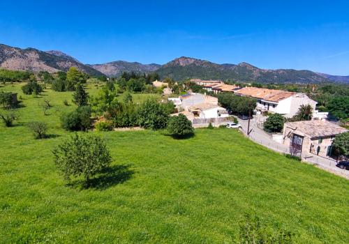 Plots in Selva