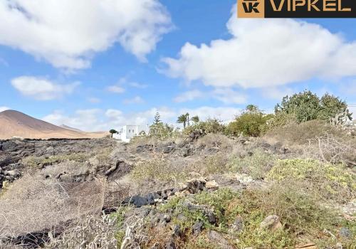 Lands in Las Palmas