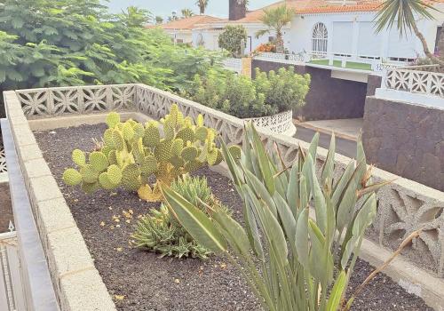 Inmuebles en Arona