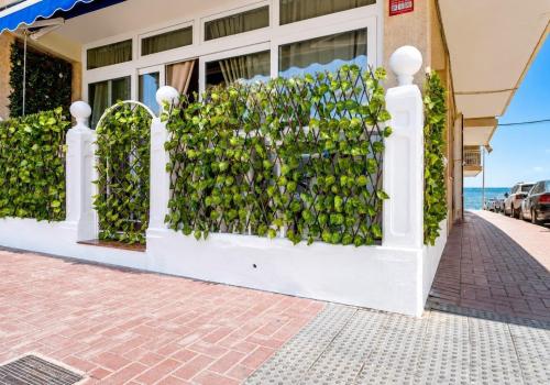 Venta en Torrevieja