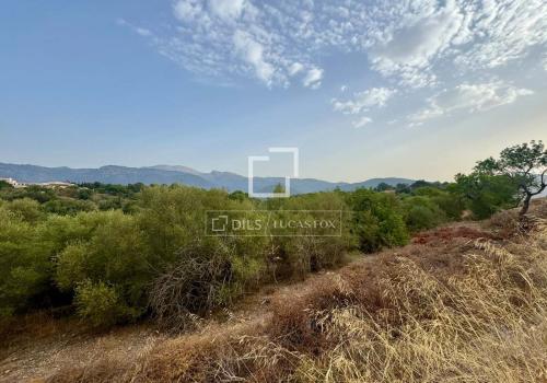 Venta en Campanet
