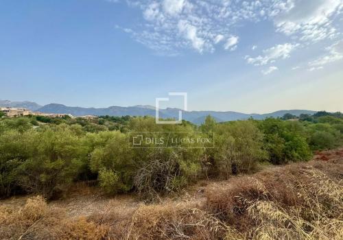 Venta en Campanet