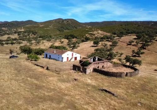 Properties in Aracena