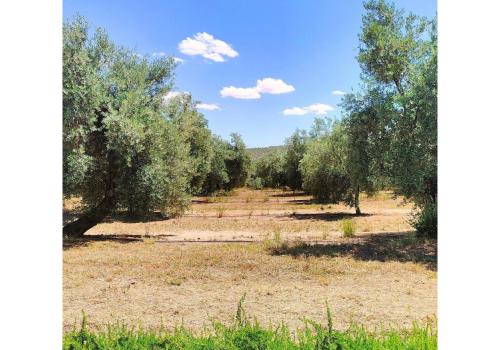 Venta en Jaén