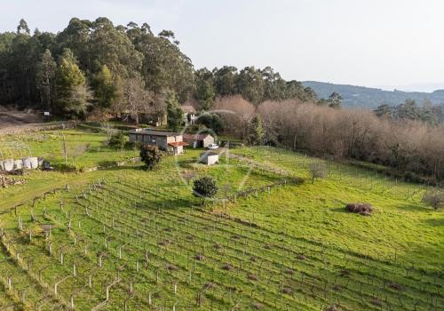 Casas en Tomiño