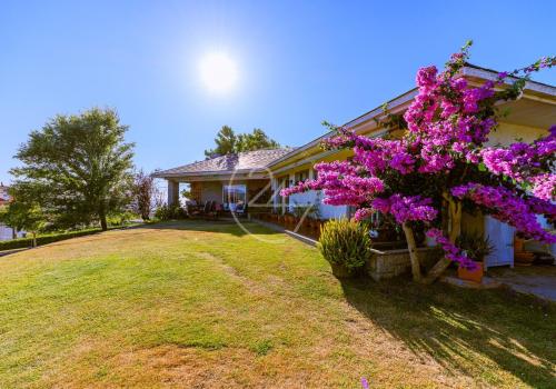 Properties in Pontevedra