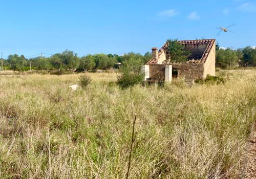 Lands in Santa Bàrbara