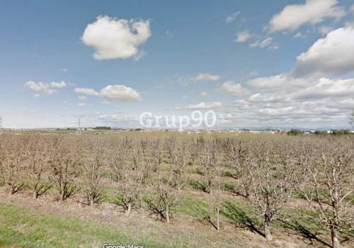 Участок на продажу в Альбатаррек - 25-5-07364 Участок на продажу в Альбатаррек - 25-5-07364
