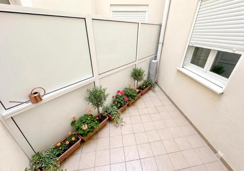 Venta en L' Ampolla