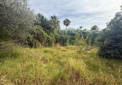Lands in Estepona