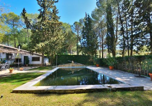 Properties in Ronda