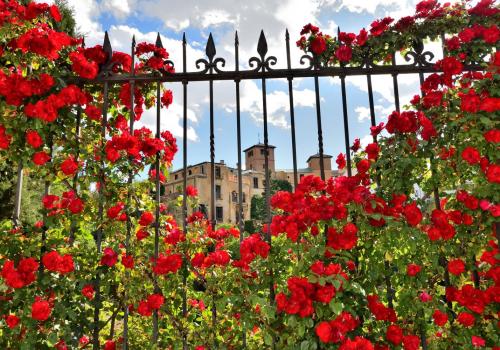Properties in Ronda