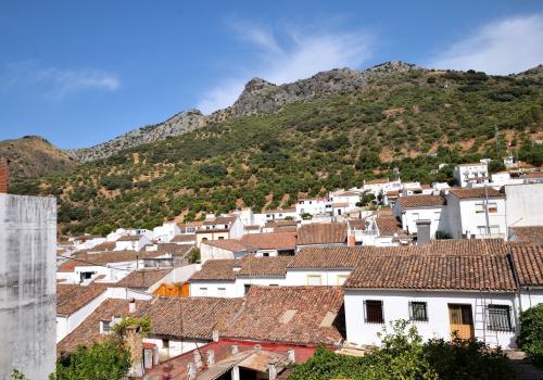 Adosados en Málaga