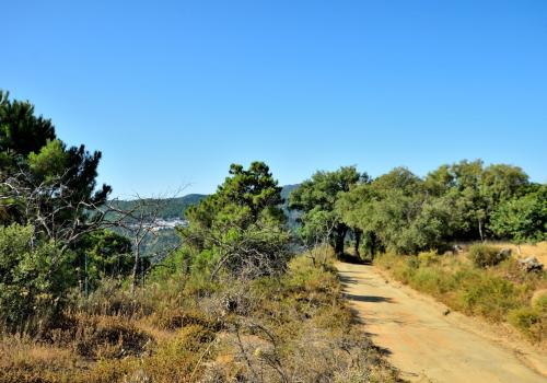Properties in Cartajima