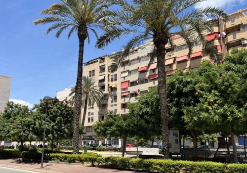 Offices in Alicante