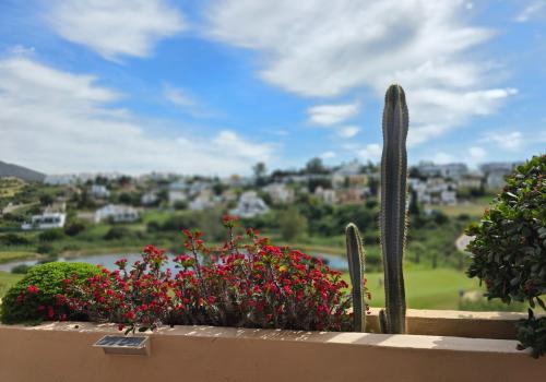 Homes in Estepona