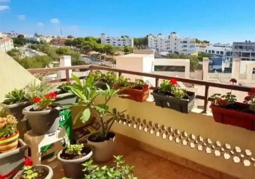 Apartments in Málaga