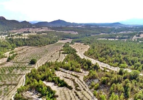 Fincas en Moratalla