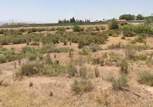 Venta en Murcia