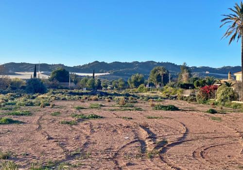 Properties in Totana