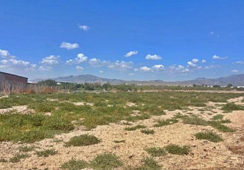 Properties in Totana