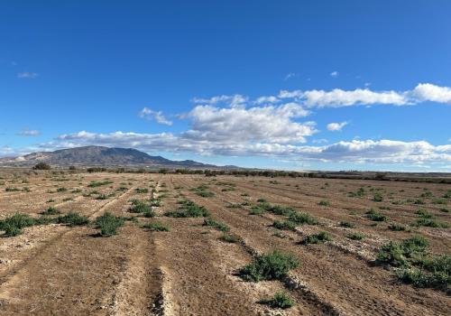 Inmuebles en Alhama de Murcia
