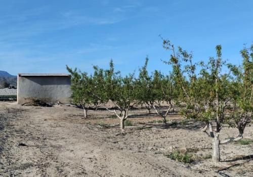 Terrenos en Murcia