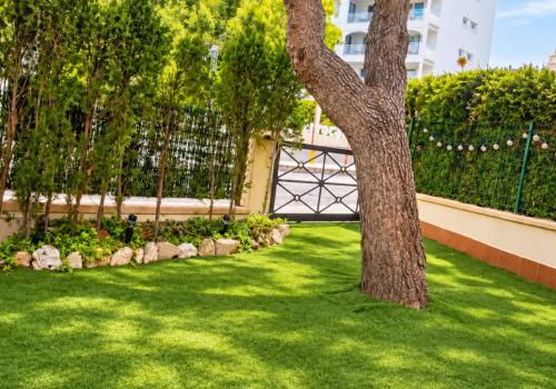 Properties in Manacor