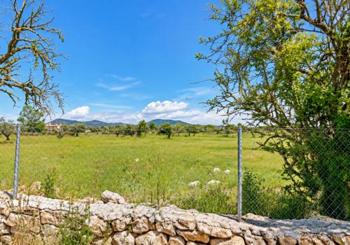 Lands in Llucmajor