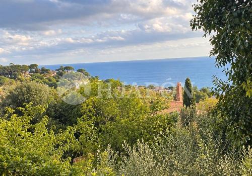 Plots in Sant Pol de Mar