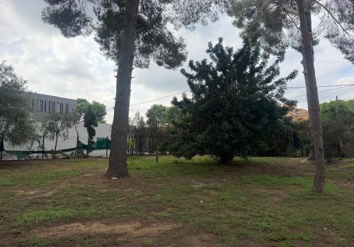 Properties in Paterna