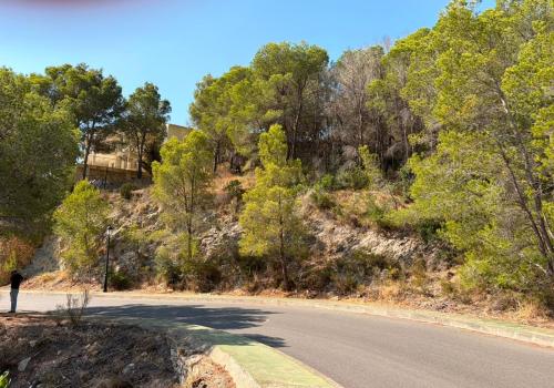 Plots in Alicante