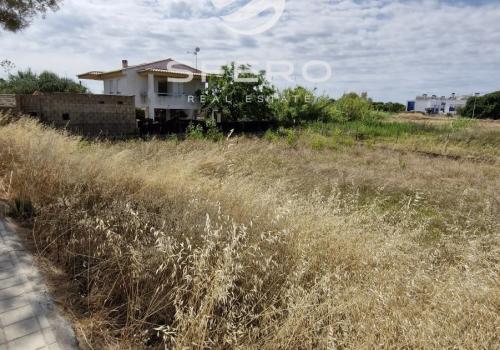 Terrenos en Castellón
