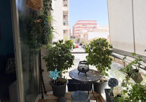 Apartamentos de Segunda mano en Torrevieja