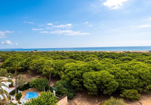 Venta en Alicante