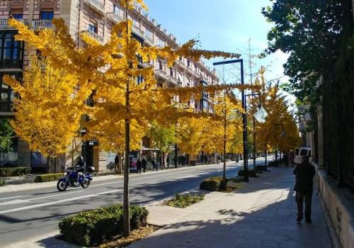 Homes for Rent in Granada