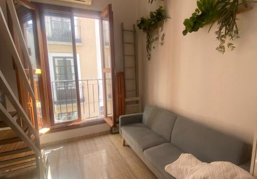 Properties for Rent in Granada