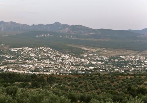 Homes for Rent in Granada