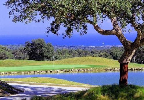 Properties in San Roque