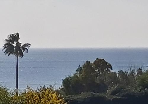 Apartments in Manilva