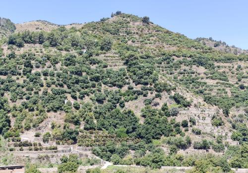 Properties in Granada