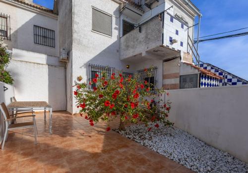 Apartments in Alicante