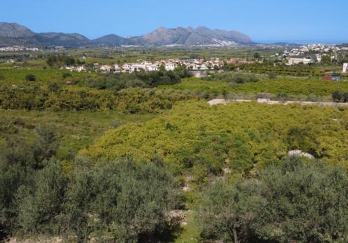 Building Sites in Orba