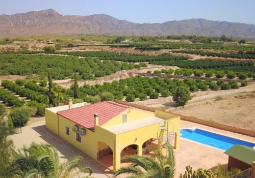 Properties in Albatera