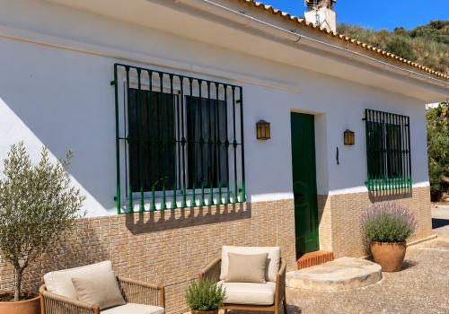Properties in Colmenar