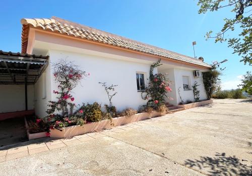 Homes in Mijas