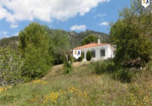 Venta en Rute