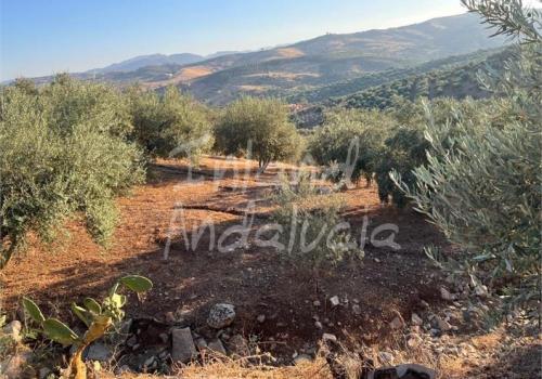 Lands in Periana
